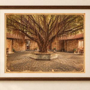 May include: A framed wall art print featuring a large banyan tree with hanging aerial roots centred in a stone-paved courtyard. The courtyard is surrounded by rustic brick walls with terracotta roof tiles and small potted plants.