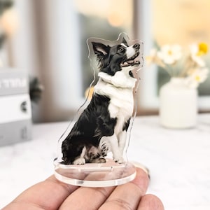 Könnte beinhalten: Transparente Acrylfigur eines Border Collie-Hundes mit schwarz-weißen Markierungen. Der Hund sitzt und blickt nach oben. Die Figur ist auf einem transparenten, kreisförmigen Sockel befestigt.