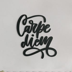 Puede incluir: Un letrero de pared negro que presenta las palabras Carpe diem escritas en una fuente cursiva fluida. Las letras están conectadas en una sola pieza continua, creando una silueta oscura y audaz sobre la superficie lisa de la pared clara.