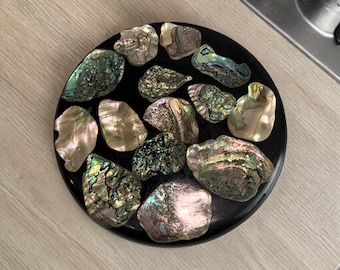 Salvamanteles vintage de resina con forma de concha de abulón de 8 pulgadas - Plato caliente de lucita iridiscente MCM