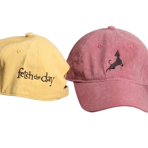 Fetch the Day Apparel Company - Inspiración - Perro - Deporte - Gorra de papá - Estilo - Propósito - Energía - Plomo