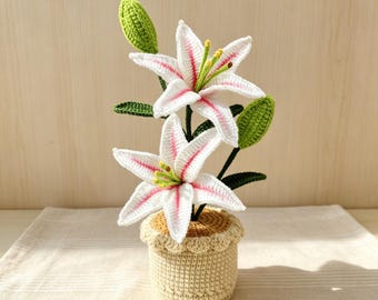 Crochet Lily Flowers in Pot,Crochet Poppy in Pot,Pink,Red,Orange or Blue,Birthday,Anniversary,Congratulations Cute Gift for Her,Girlfriend