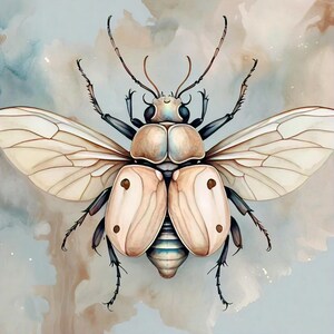 16 Bugs Png Insect Png Cute Primitive Insects high Resolution Png ...