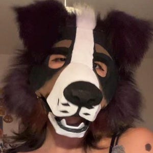 May include: A dog-like fursuit head with a black, white, and brown color scheme. The mask features large, fluffy ears, a white muzzle, and a black nose. The eyes are visible through the eye openings.