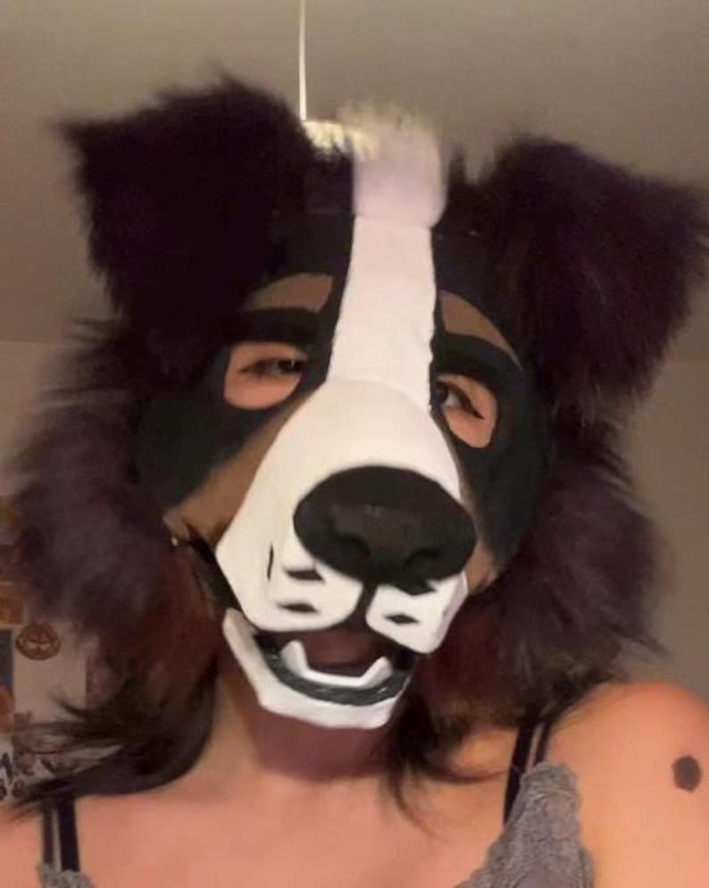 May include: A dog-like fursuit head with a black, white, and brown color scheme. The mask features large, fluffy ears, a white muzzle, and a black nose. The eyes are visible through the eye openings.