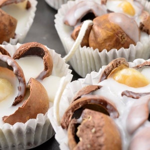 Pu&ograve; includere: Primo piano di diversi gusci di noce di macadamia ripieni di cioccolato bianco in pirottini di carta per cupcake. I gusci sono aperti, rivelando il ripieno di cioccolato bianco.