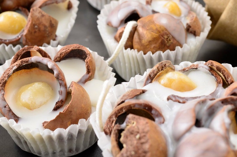 Pu&ograve; includere: Primo piano di diversi gusci di noce di macadamia ripieni di cioccolato bianco in pirottini di carta per cupcake. I gusci sono aperti, rivelando il ripieno di cioccolato bianco.
