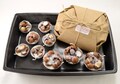 Eco Friendly Fire Starters 9 Unique Natural Firestarter Gift for Him Husband Boyfriend Brother Father Guy Friend Fire Pit Chimineas Campfire