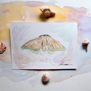 Schmetterling Original Aquarell Malerei Schmetterling Schmetterlinge Schmetterling Schmetterlinge