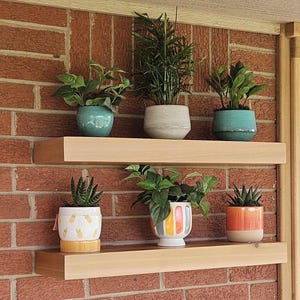 May include: Two wooden shelves mounted on a brick wall with potted plants. The top shelf has four plants in pots: a green plant in a teal pot, a green plant in a white pot, a green plant in a teal pot, and a green plant in a white pot. The bottom shelf has three plants in pots: a green plant in a white pot with a pineapple design, a green plant in a white pot with colorful stripes, and a green plant in a peach pot.