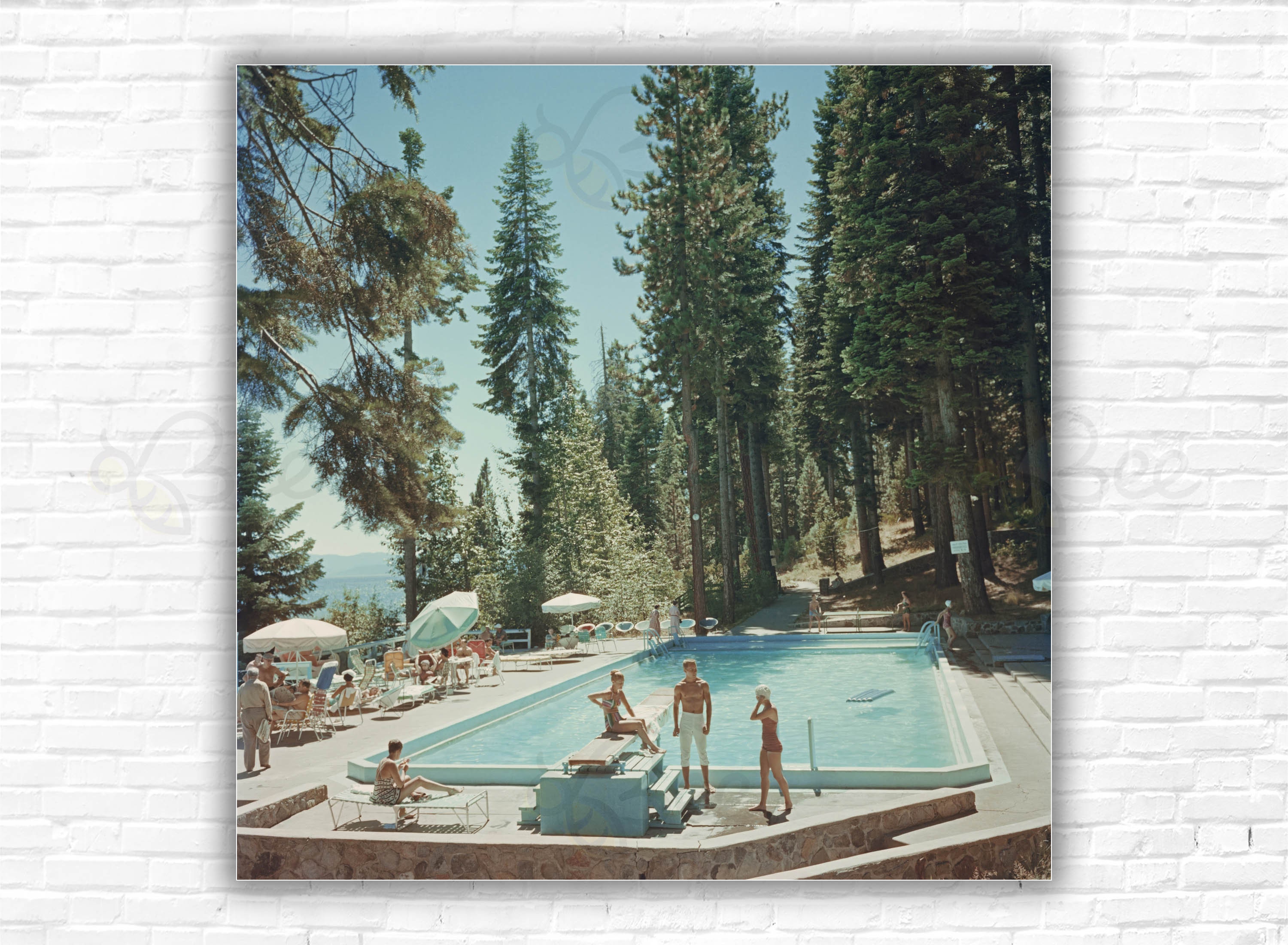 値下げしました‼️Slim Aarons Capucine 白黒写真 限定版 il_fullxfull.6164724056_asih.jpg