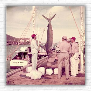 Stampa/Manifesto "Big Catch" di Slim Aarons - 1951: Un pescatore d'altura ammira la sua preda, un pesce spada, appeso sulla banchina a Guayamas, in Messico.