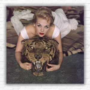 Stampa/poster di Slim Aarons La bella e la bestia - Daphne Cameron su un tappeto di pelle di tigre nella sala dei trofei nella casa di Laddie Sanford a Palm Beach, Florida