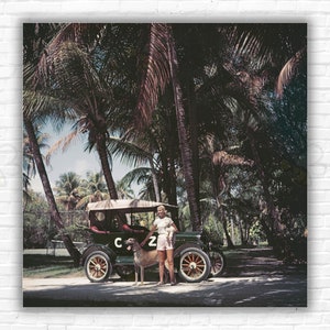 Slim Aarons CZ & Friends in una Model T Stampa/Poster - C.Z. Guest con un barboncino e un alano in una Model T, Palm Beach, Florida