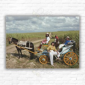 Stampa/poster della gita in famiglia Fanjul di Slim Aarons - La famiglia Fanjul in giro in carrozza trainata da cavalli a Casa de Campo, Repubblica Dominicana