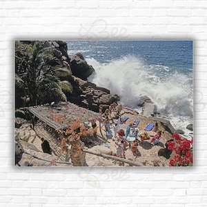 May include: A group of people gather on a rocky beach with a palm tree and a thatched roof structure. The ocean waves crash against the rocks in the background.