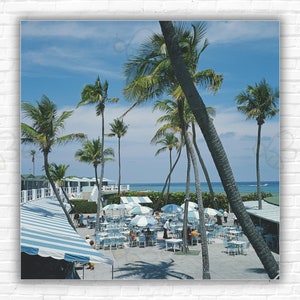 Stampa/poster "Florida Palms" di Slim Aarons: vista delle palme in un resort sulla spiaggia di Boca Raton, Florida, aprile 1978.