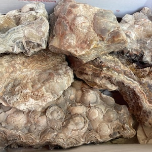 9 Pounds Mexican Crazy Lace Agate Rough Wholesale Box Lot - 6 Chunks, Nice Banding & Bubbles