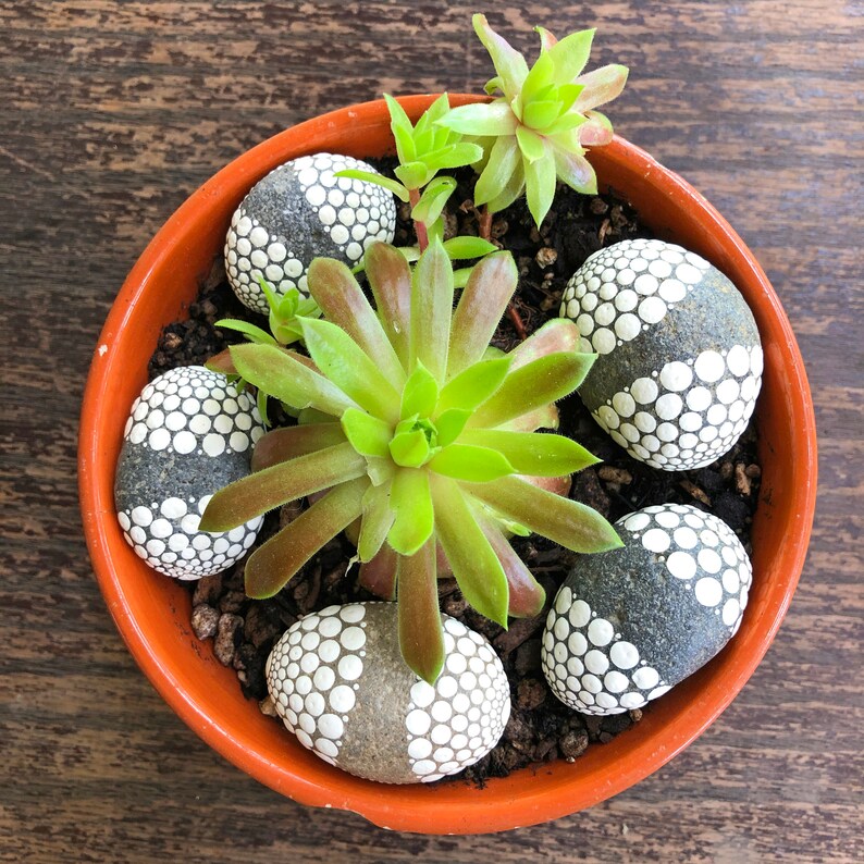 Small Painted Stones for House Plants and Gardens Hand Etsy