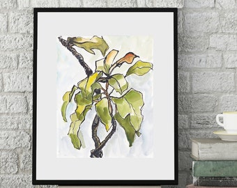 Croton No. 21 . giclee art print