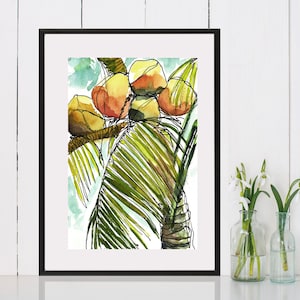 Coconuts No. 3 . giclee art print