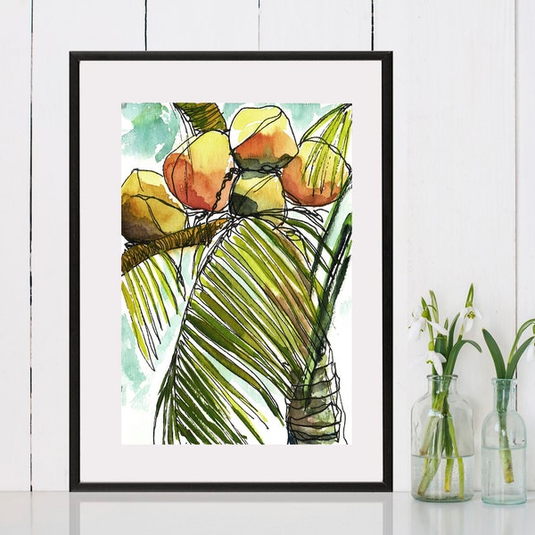 Coconuts No. 3 . giclee art print