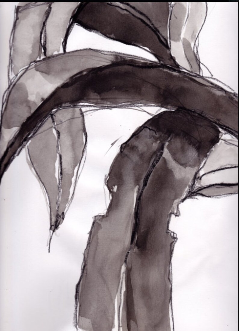 Jamaica Beach Fronds No A Page From My Sketchbook 2 ORIGINAL Art