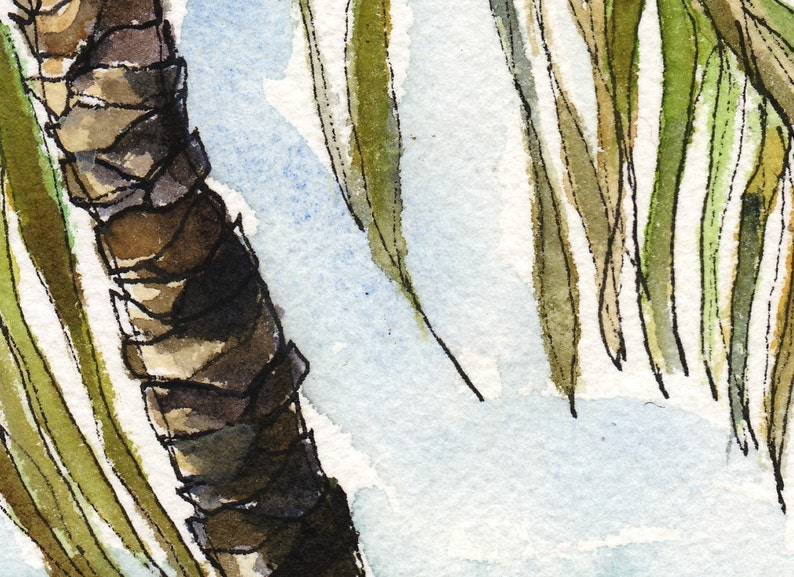 May include: A close-up of a palm tree trunk with brown and green bark. The leaves are green and brown and are partially visible in the background.
