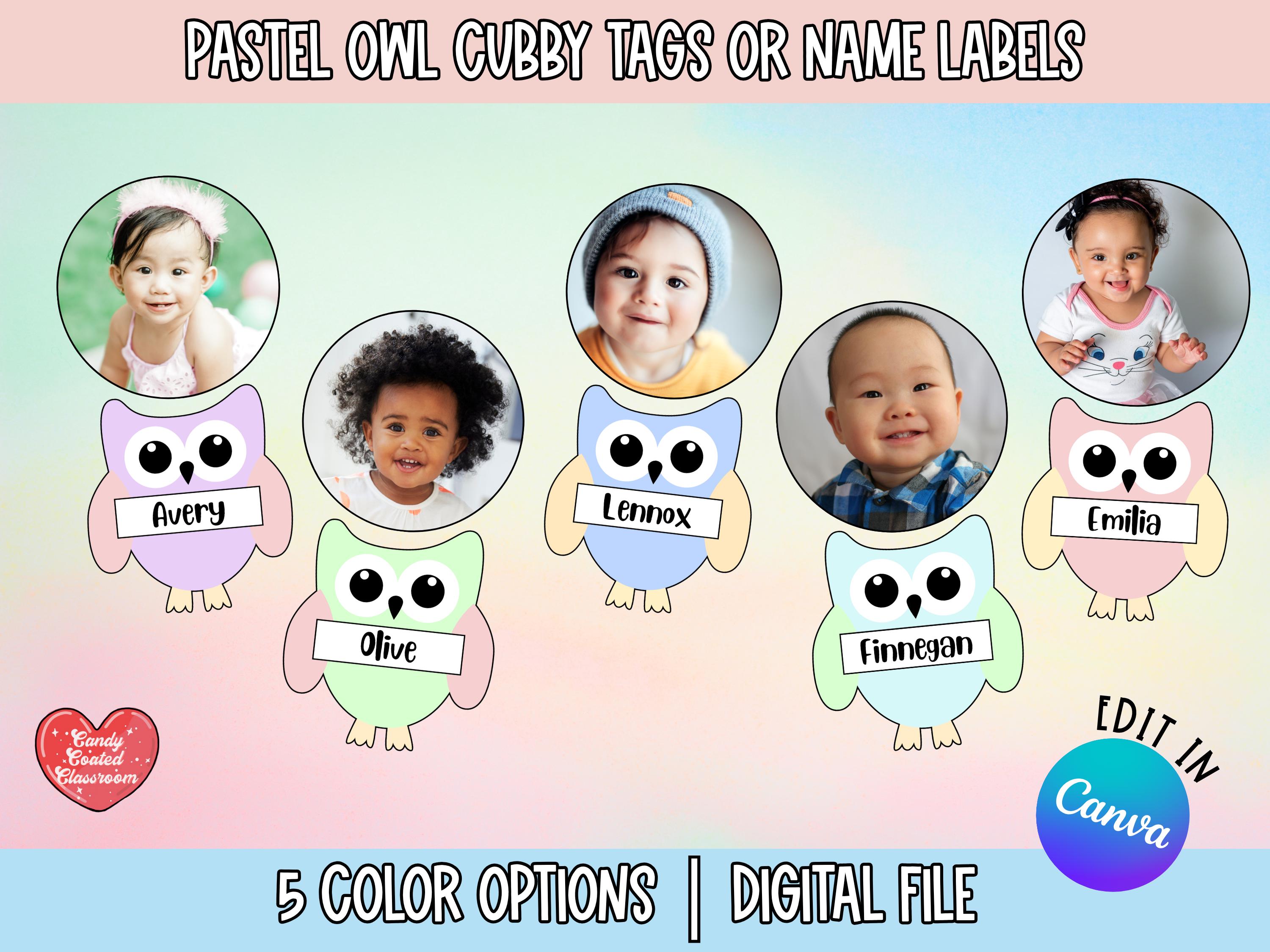 Pastel Owl Cubby Name Tags, Personalized Desk Name Plates, School Name Labels, Colorful Preschool Ra