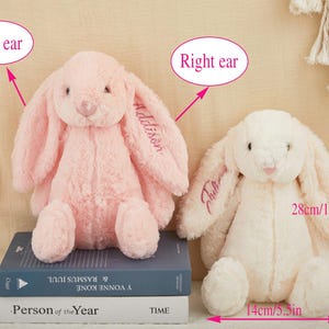 K&ouml;nnte beinhalten: Zwei Pl&uuml;schhasen, einer rosa und einer cremefarben, werden gezeigt. Der rosa Hase hat "Addison" auf dem Ohr gestickt. Der cremefarbene Hase ist 28 cm hoch und 14 cm breit, mit "Tilly" auf dem Ohr gestickt.