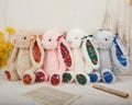 Personalized School Graduation Bunny | Custom Embroidered College Grad Bunny Plush | 2026 Grad Keepsake Gift