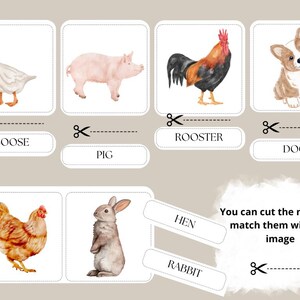 Farmhof 32-Karten Lernkarten Set