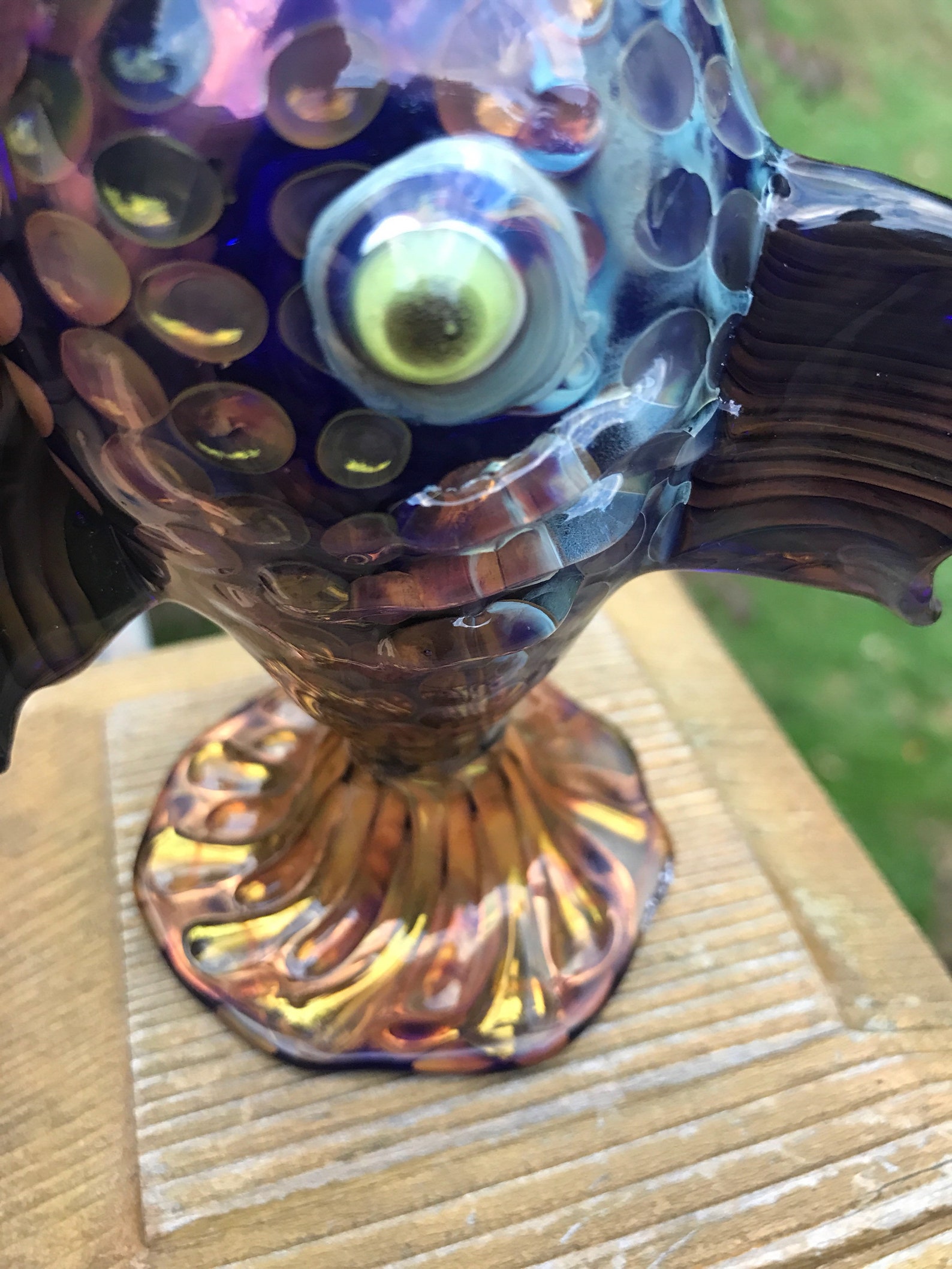 Borosilicate Fish Vessel Glass Fish Jar Trout Jar Blown Etsy