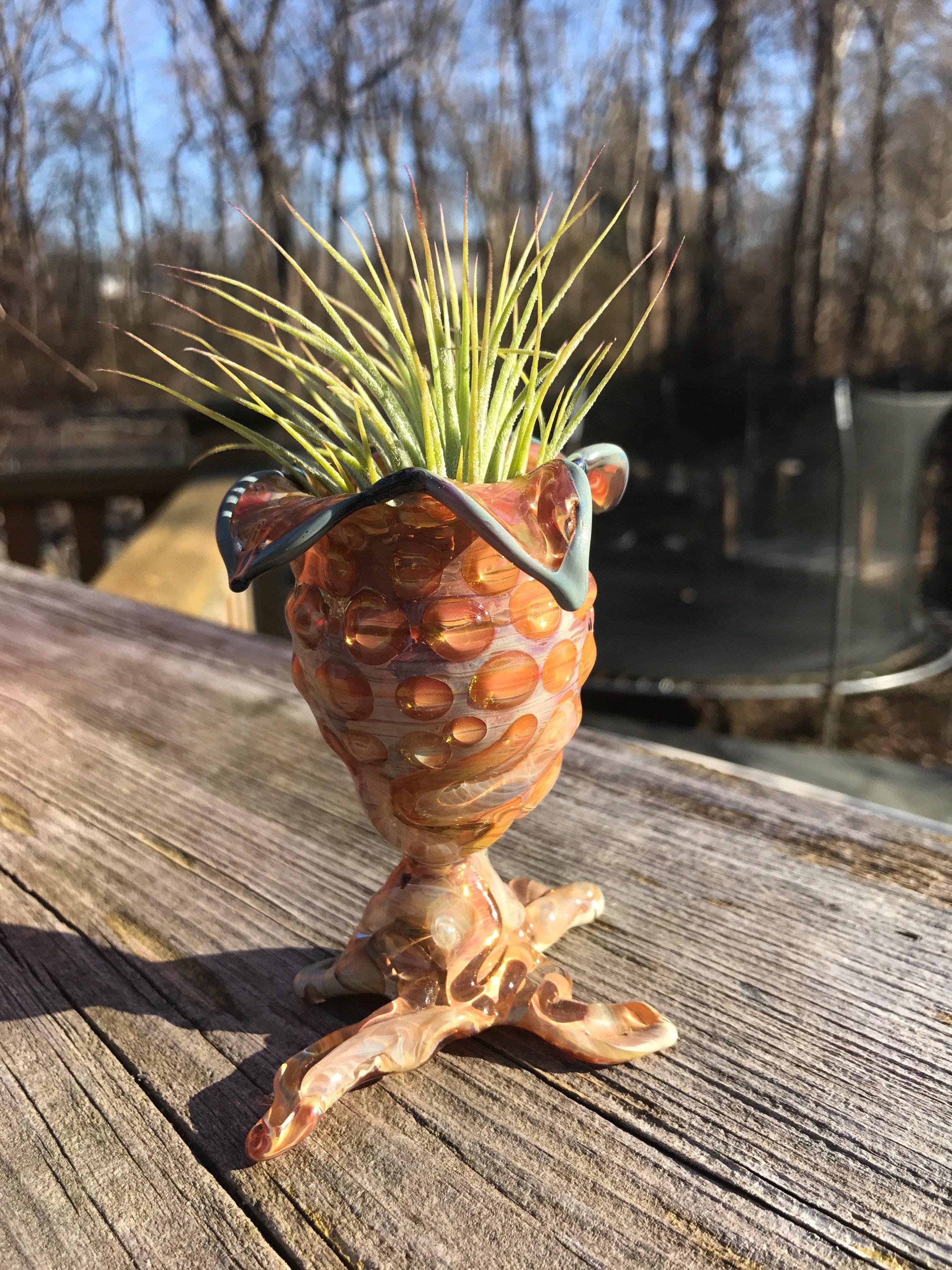 Terrarium En Verre Ovomorphe | Pour Plantes Exotiques Support Plante Aérienne Jardinière D'intérieur Ou D'extérieur Borosilicate