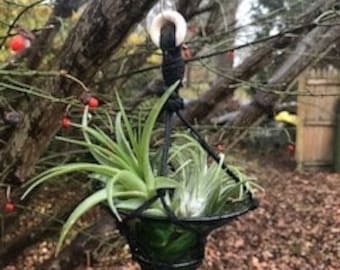 CLEARANCE Hanging Air Plant Holder | Hanging Terrarium | Living Ornament
