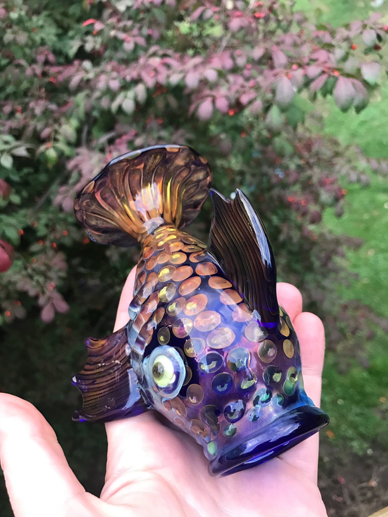 Borosilicate Fish Vessel Glass Fish Jar Trout Jar Blown Etsy