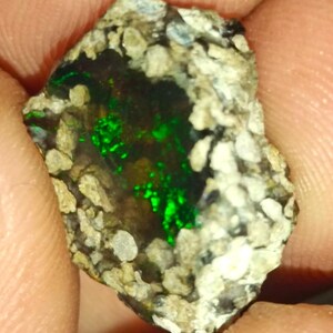 Puede incluir: Un espécimen de ópalo boulder en bruto y sin pulir que presenta un color base negro parduzco oscuro con destellos vibrantes de color verde iridiscente. La piedra está rodeada por una matriz rugosa de roca madre de color claro.