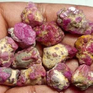 10 pcs Natural Rough Ruby Gemstone | Uncut Raw Crystal Specimen (Collector Gift) 229 Ct