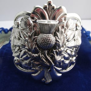 Puede incluir: Diseño de cardo en metal plateado con detalles intrincados. El cardo está rodeado de hojas y tiene una superficie texturizada en relieve.