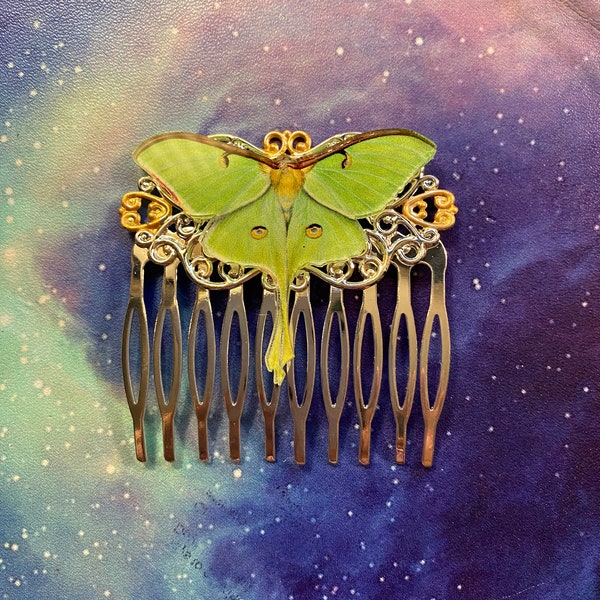 Pettine per capelli Luna Moth Smalto dorato colorato Fermagli per capelli Luna Moth pettini decorativi per capelli MyElegantThings