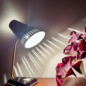 Può includere: Una lampada da scrivania nera e dorata con un paralume bianco e un design traforato. La lampada proietta un raggio di luce su una superficie di legno. Una pianta con foglie viola scuro è sullo sfondo.