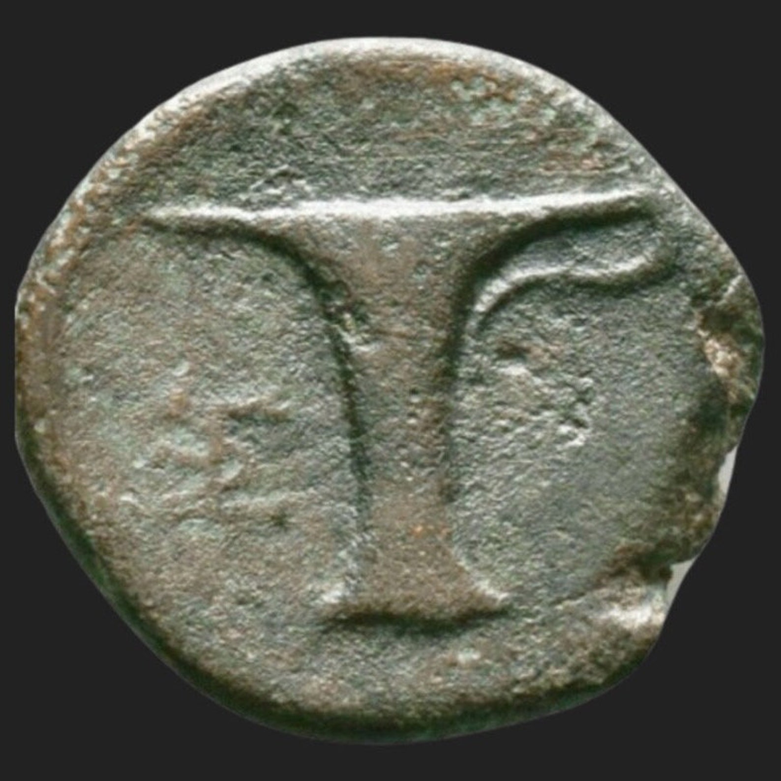 Foreparts of a Horseancient Bronze Coin of the City of Aeolis, Kyme