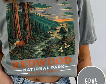 Redwood National Park Illustration T-Shirt | Vintage Forest Sunset