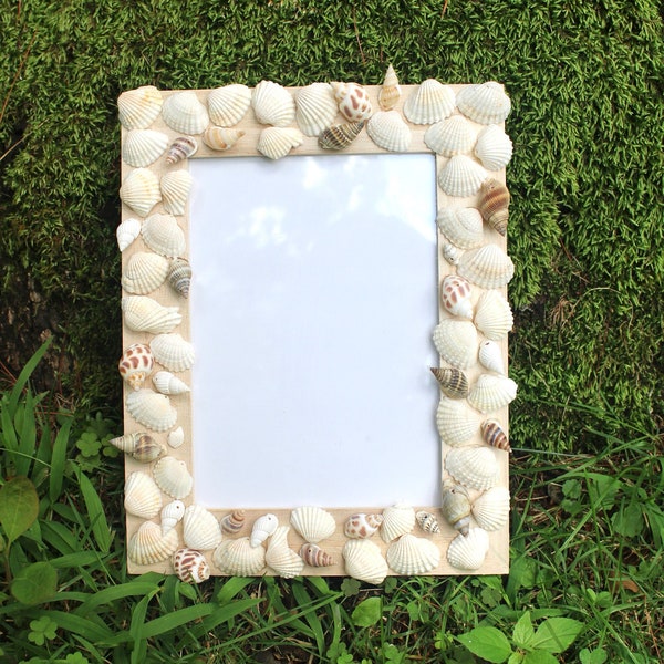 Seashell Frame - Etsy