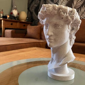 Maceta con forma de busto de estilo antiguo | Jarrón con cabeza de David | Maceta con efecto mármol/granito | Decoración artística moderna | 21 cm