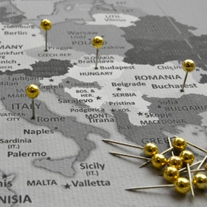 Pins & pins (50 stuks) voor wereldkaart prikbord canvas reisplanning