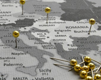 Pins & Stecknadeln (50 Stück) für Weltkarte Pinnwand Leinwand Reiseplanung