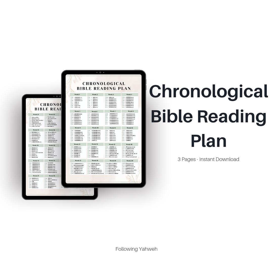 Chronological Bible Reading Plan Etsy