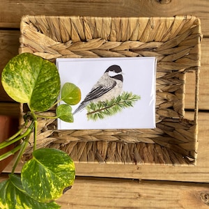 Carte de voeux originale aquarelle peinte à la main | Mésange | Carte de correspondance vierge anniversaire, amitié, sympathie, merci
