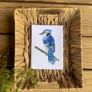 Cartão de felicitações original pintado à mão em aquarela | Blue Jay | Cartão de agradecimento em branco para amizade e simpatia de aniversário